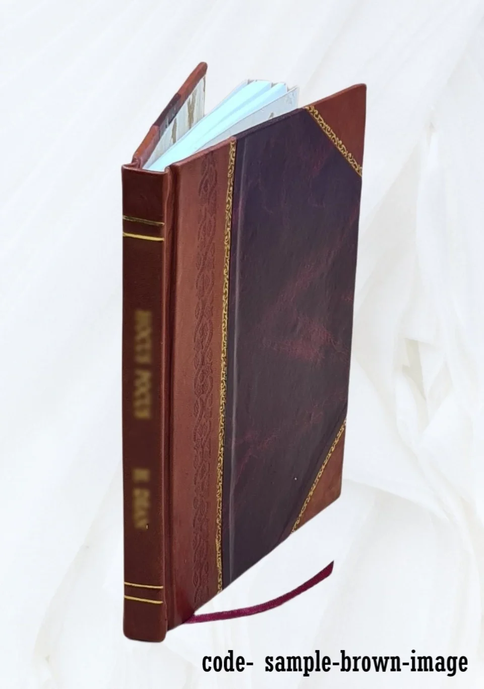 Eco-Friendly Value Memorial meeting, Israel Friedlaender, Bernard Cantor, whose lives were sacrificed July 5, 1920, in the cause of Israel and in the service of humanity 1920 [Leather Bound]