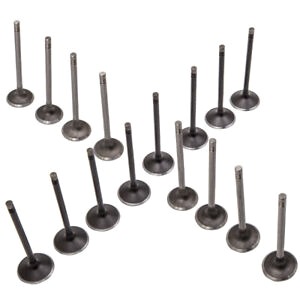 BPA-Free Best-Selling 16 Exhaust Intake Valve 6mm for Saturn Ion L200 L100 LW200 2.2L 2.0L 12622329